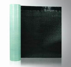 新(xīn)聞動态(tài)